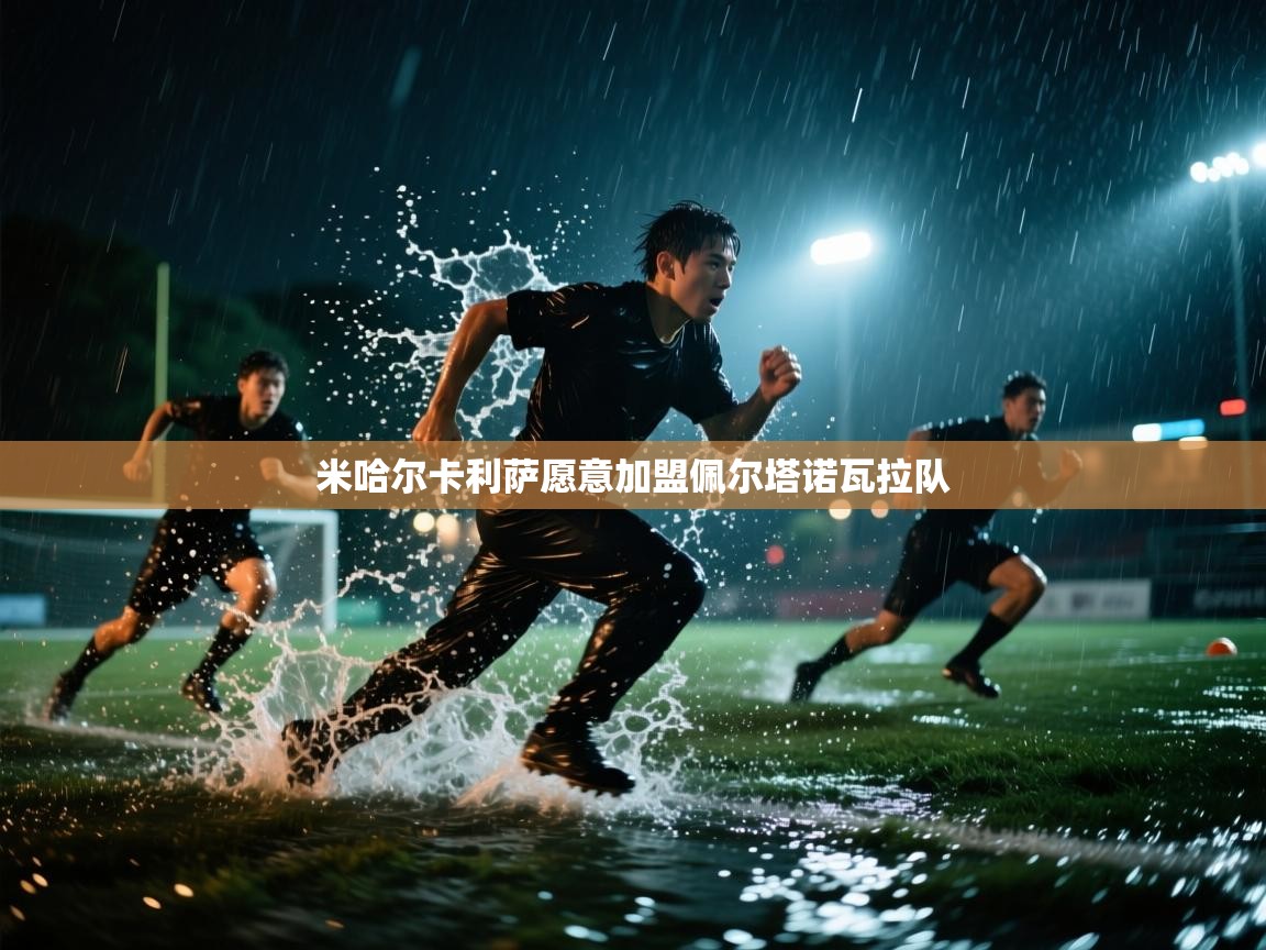 米哈尔卡利萨愿意加盟佩尔塔诺瓦拉队 第1张