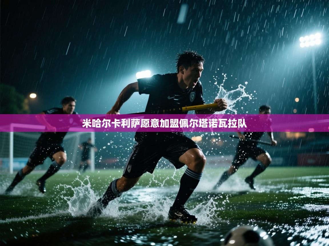 米哈尔卡利萨愿意加盟佩尔塔诺瓦拉队 第2张