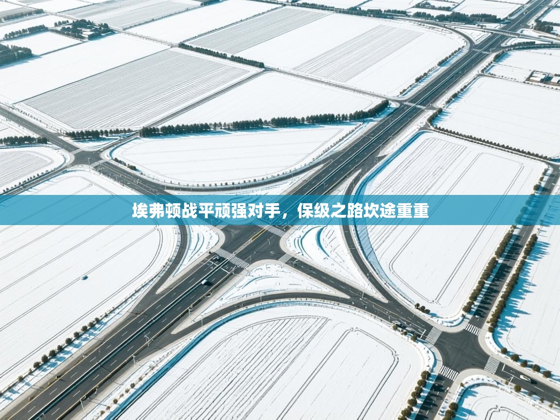 埃弗顿战平顽强对手，保级之路坎途重重  第1张