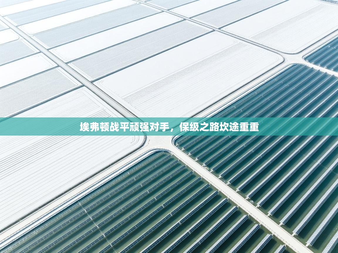 埃弗顿战平顽强对手，保级之路坎途重重  第2张